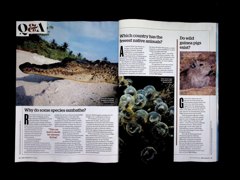BBC Wildlife [2026-03] V44N03 - Part 3