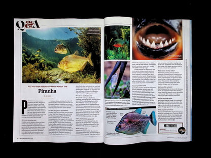BBC Wildlife [2026-03] V44N03 - Part 4