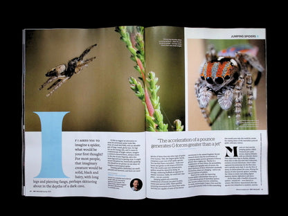 BBC Wildlife [23] V44N04 Spring 2026 - Part 3
