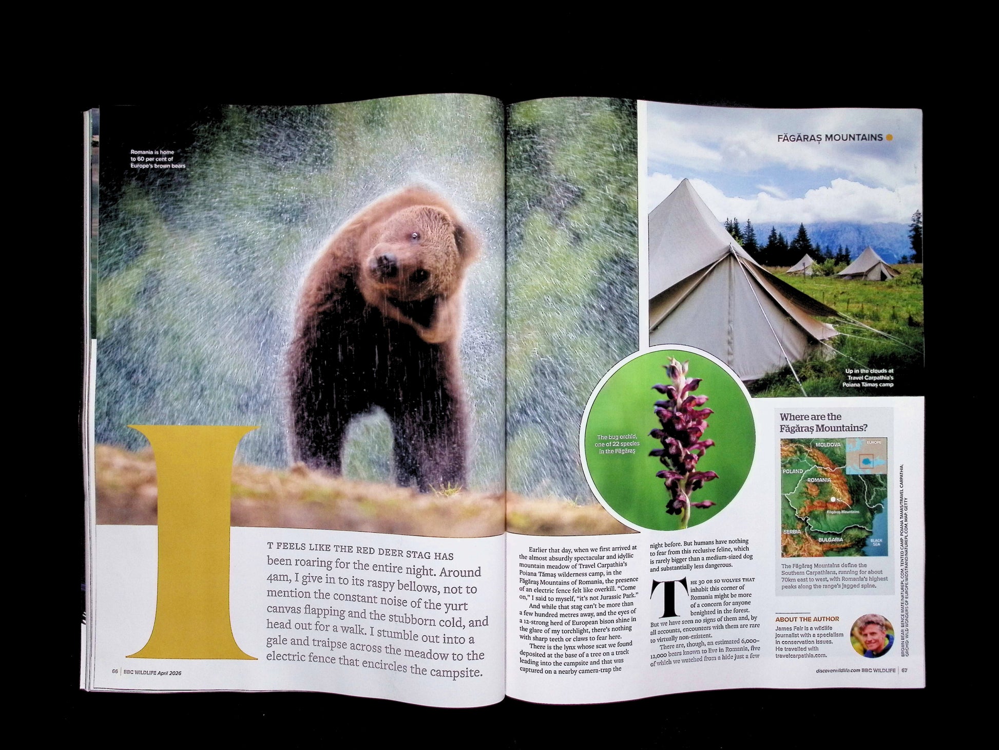 BBC Wildlife [2026-04] V44N05 - Part 1