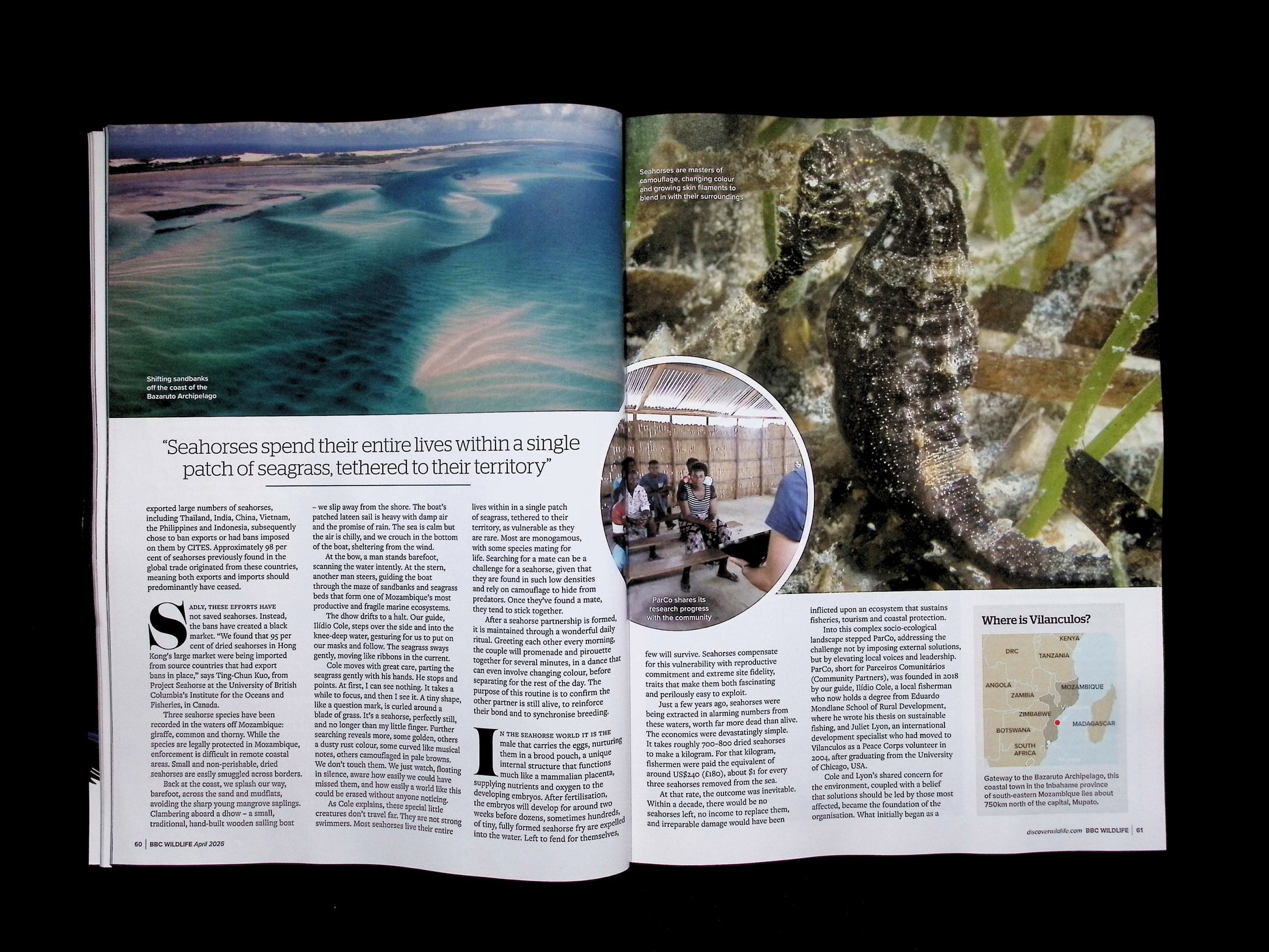 BBC Wildlife [2026-04] V44N05 - Part 2