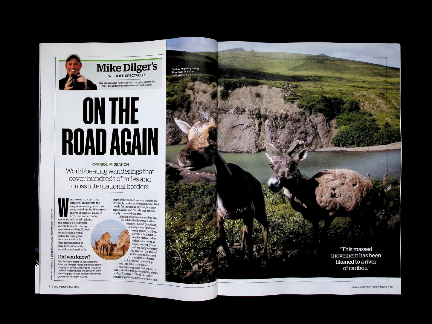 BBC Wildlife [2026-04] V44N05 - Part 4