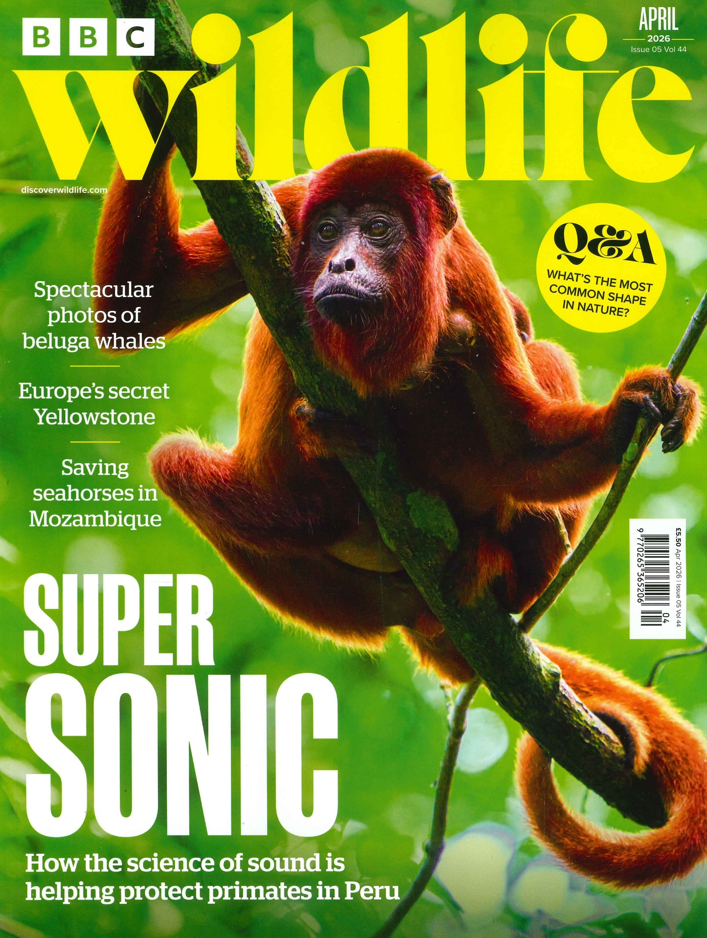BBC Wildlife [2026-04] V44N05