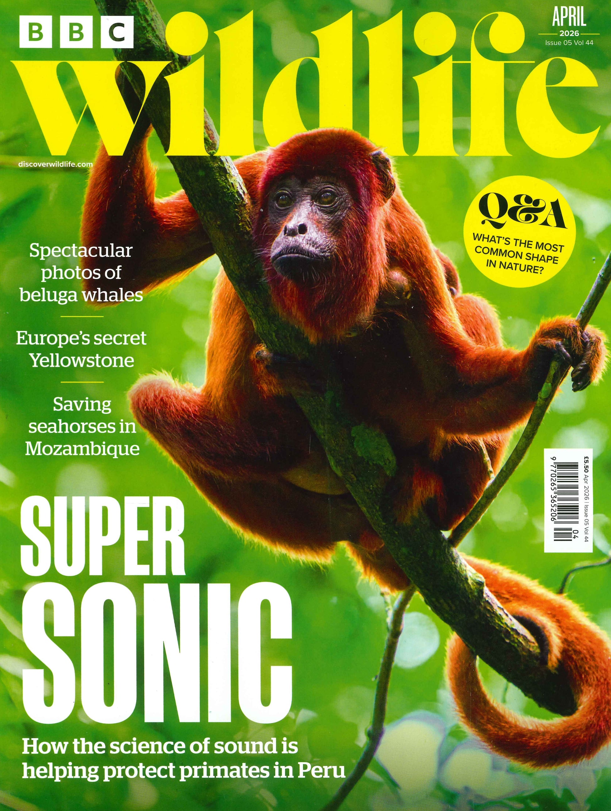 BBC Wildlife [2026-04] V44N05