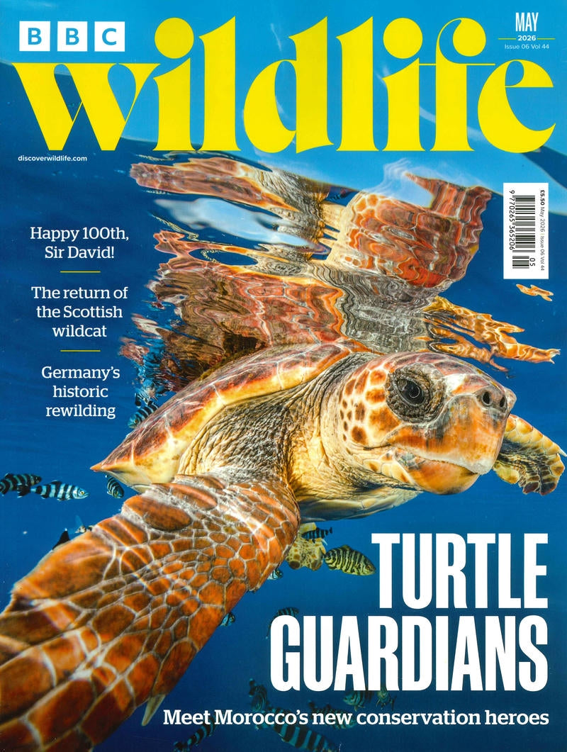 BBC Wildlife [2026-05] V44N06