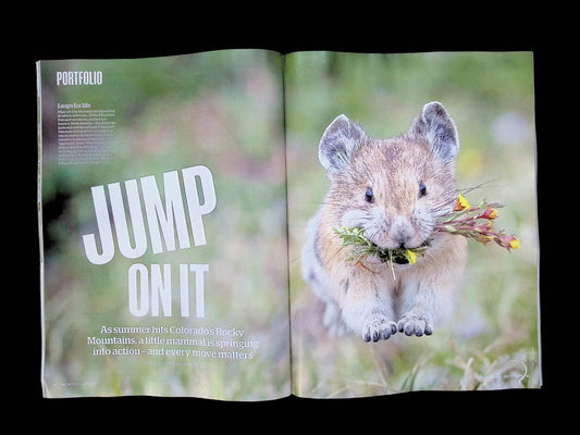 BBC Wildlife [2026-06] V44N07 - Part 1