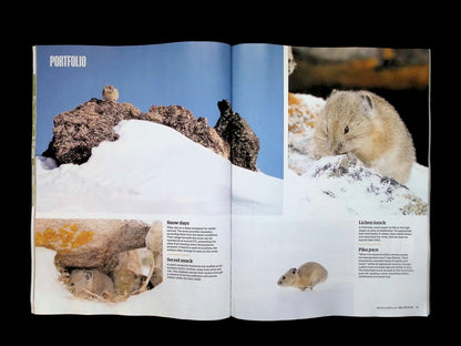 BBC Wildlife [2026-06] V44N07 - Part 2