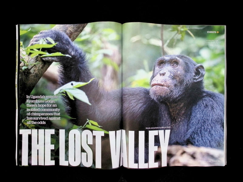 BBC Wildlife [2026-06] V44N07 - Part 4