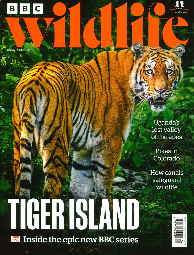 BBC Wildlife [2026-06] V44N07