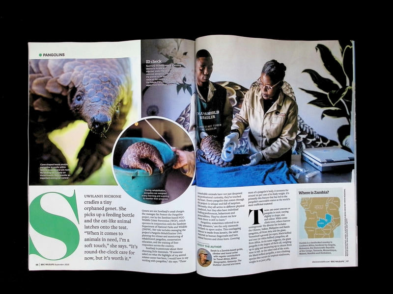 BBC Wildlife [2026-09] V44N10 - Part 2