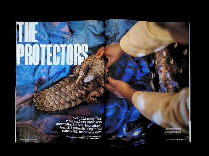 BBC Wildlife [2026-09] V44N10 - Part 3