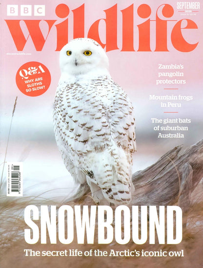 BBC Wildlife [2026-09] V44N10