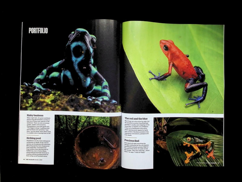 BBC Wildlife [2026-10] V44N11 - Part 1