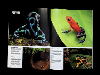 BBC Wildlife [2026-10] V44N11 - Part 1