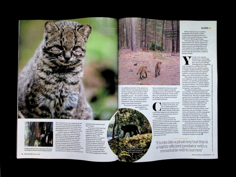 BBC Wildlife [2026-10] V44N11 - Part 3
