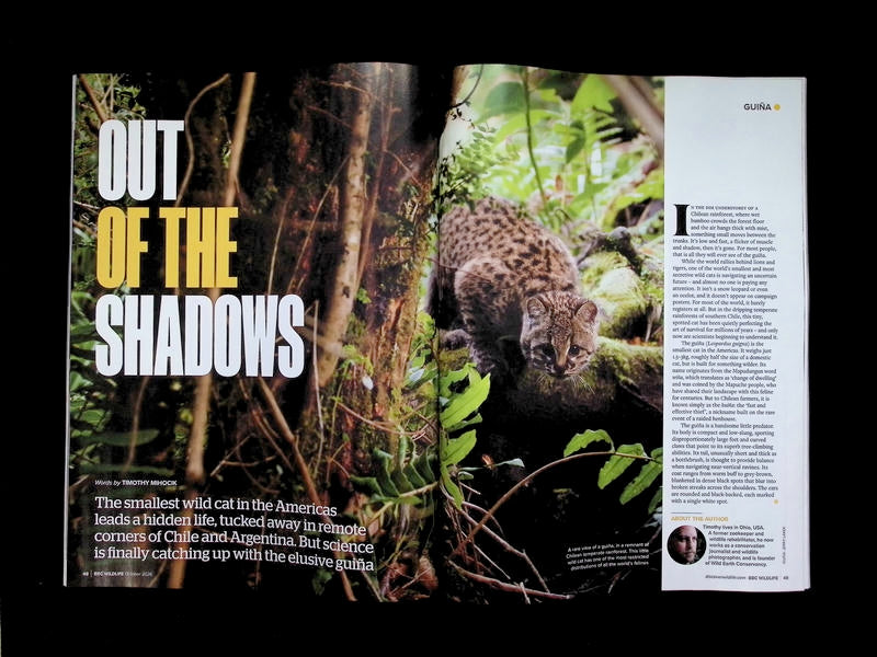 BBC Wildlife [2026-10] V44N11 - Part 4