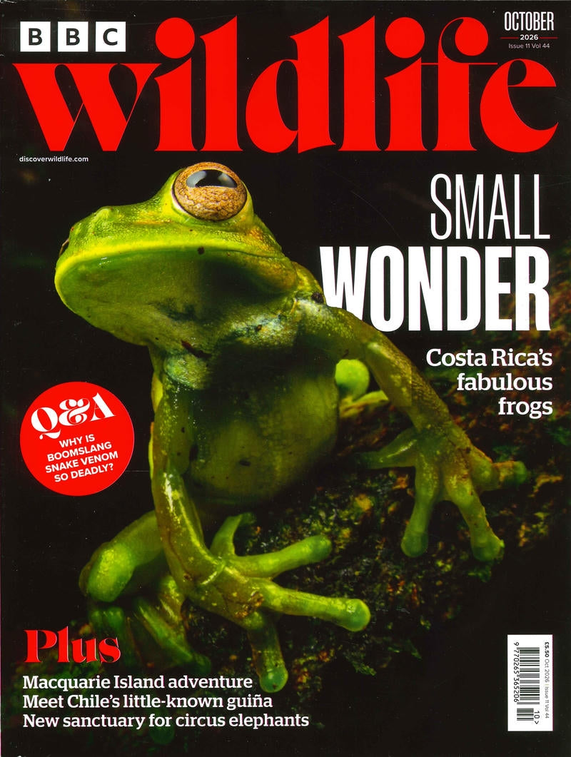 BBC Wildlife [2026-10] V44N11