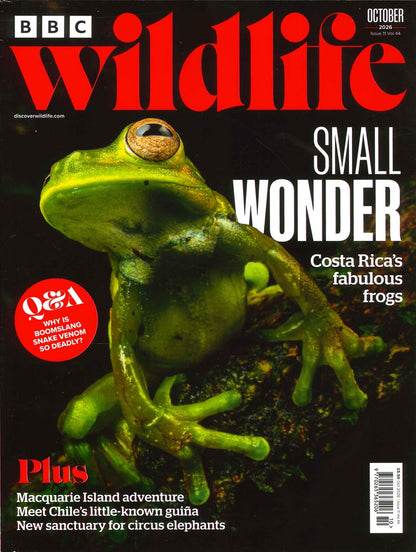 BBC Wildlife [2026-10] V44N11