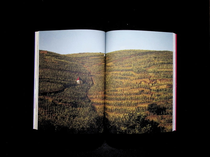 noble Rot *** [39] No.39