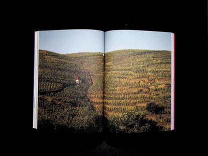 noble Rot *** [39] No.39