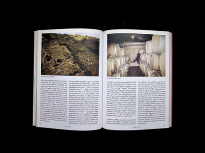 noble Rot *** [39] No.39