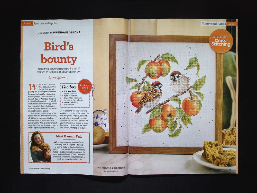 THE WORLD OF Cross Stitching [10] N363 Oct 2025+十字繡材料包
