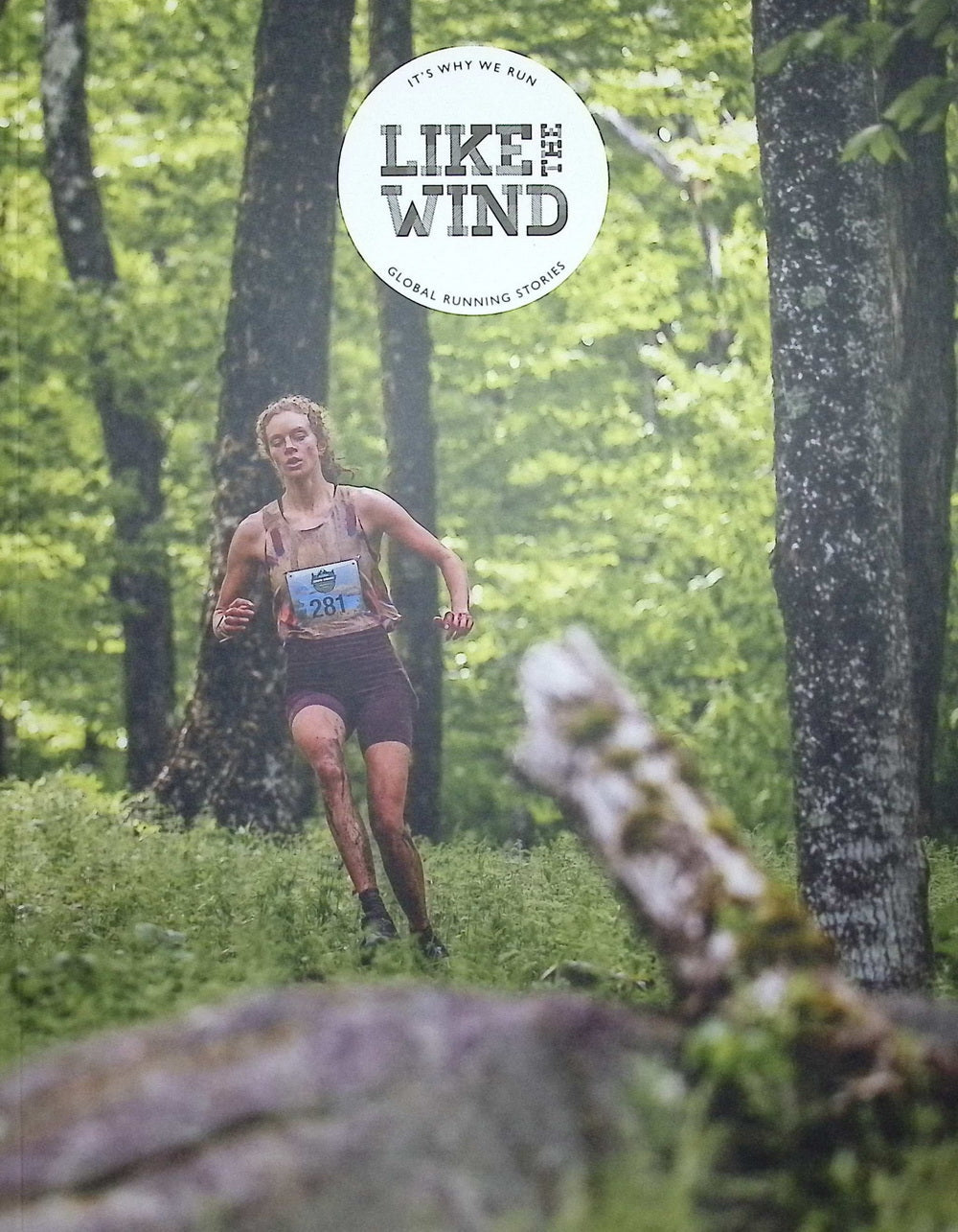 LIKE THE WIND *** [46] No.46