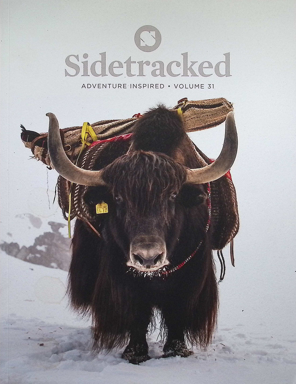 Sidetracked [31] Vol.31