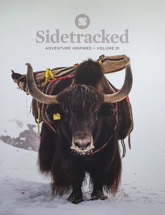 Sidetracked [31] Vol.31