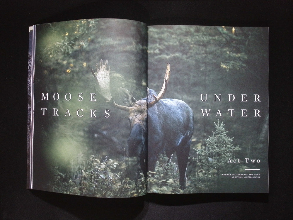 Sidetracked [32] Vol.32