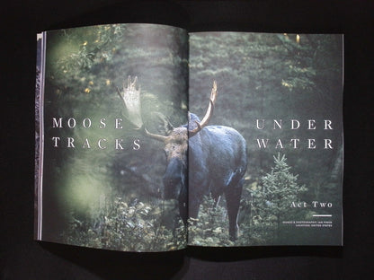 Sidetracked [32] Vol.32