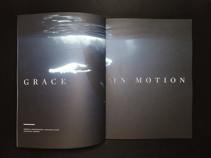 SIDETRACKED [33] Vol.33