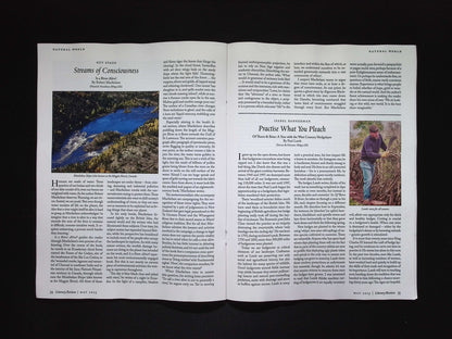 LITERARY REVIEW [2025-05] N.540