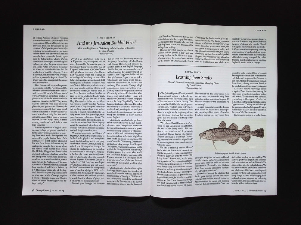 LITERARY REVIEW [2025-06] N.541