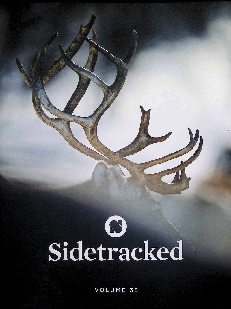 Sidetracked [35] Vol.35