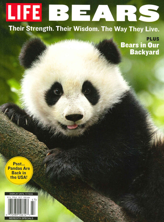 LIFE / BEARS (雙封面) [47]