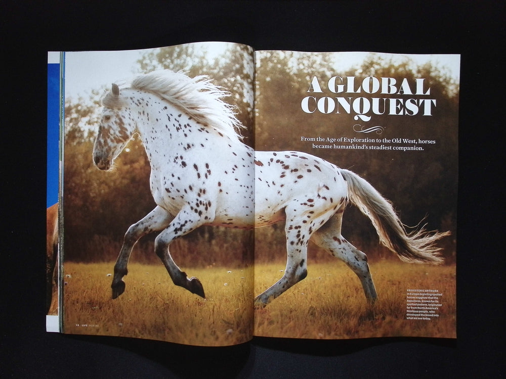 LIFE / HORSES [55]