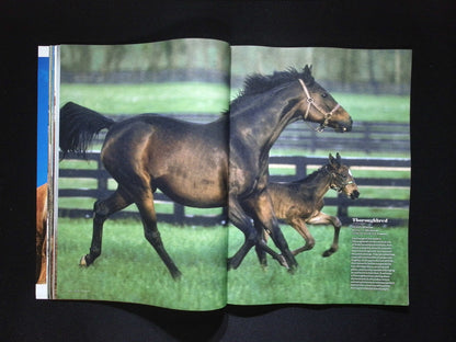 LIFE / HORSES [55]