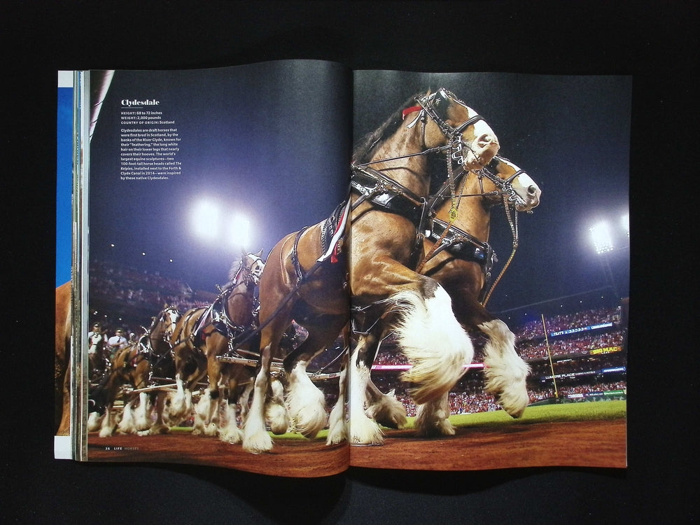 LIFE / HORSES [55]