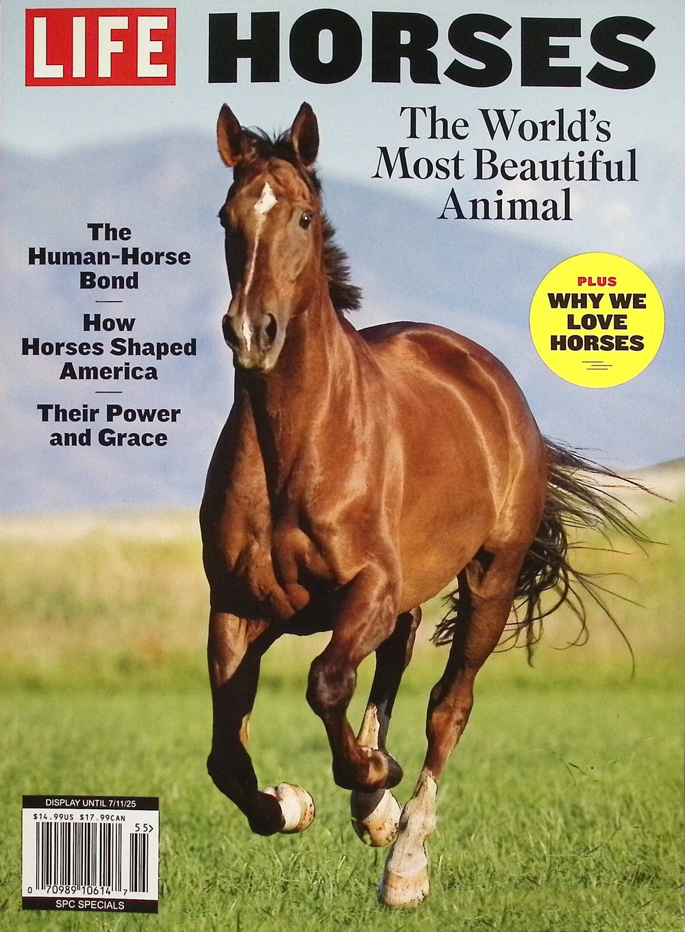 LIFE / HORSES [55]