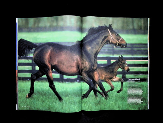 LIFE / HORSES [65] 2026 - Part 1