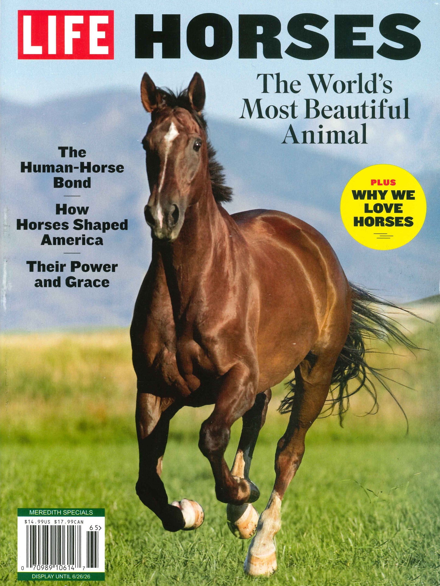 LIFE / HORSES [65] 2026