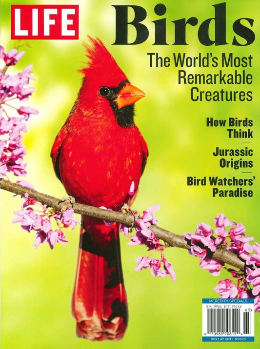 LIFE / Birds [65]