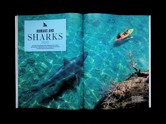 LIFE / SHARKS [66] (雙封面) - Part 1