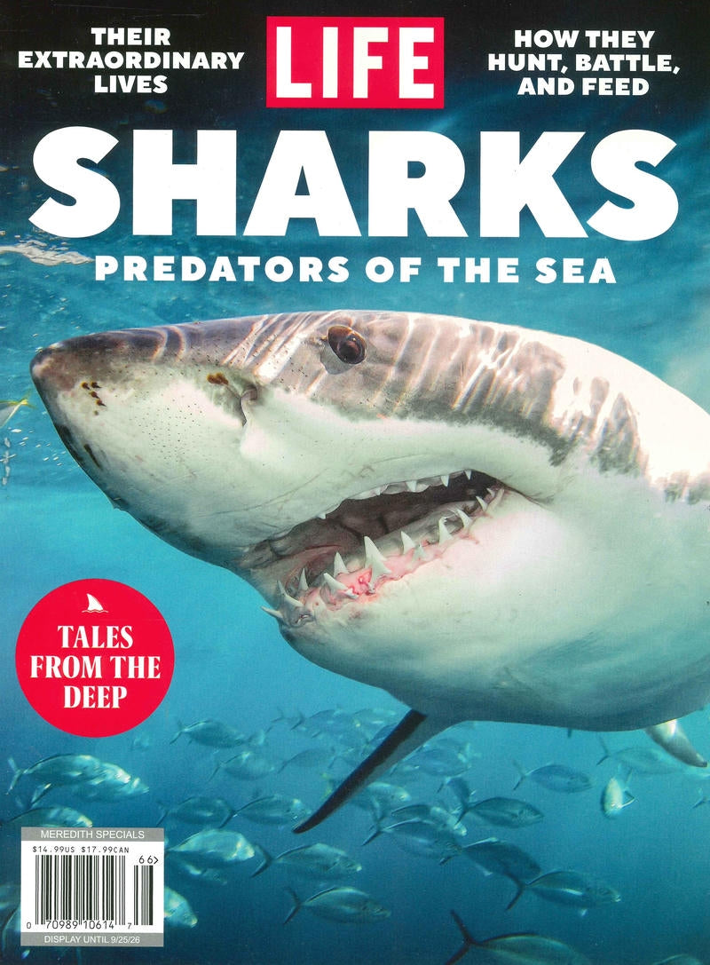 LIFE / SHARKS [66] (雙封面)