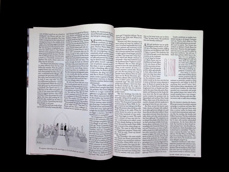THE NEW YORKER [27] Jul 6&13,2026 - Part 2