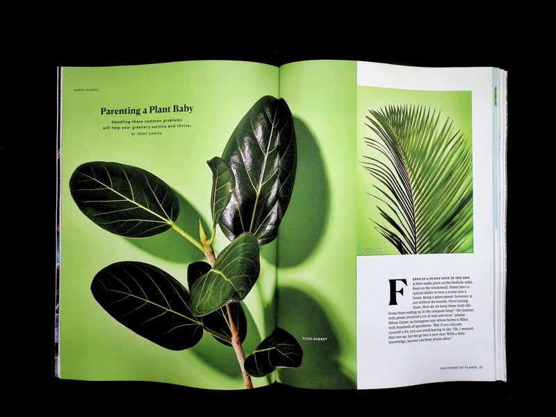 REAL SIMPLE / The Power of Plants [65] 2026 - Part 3