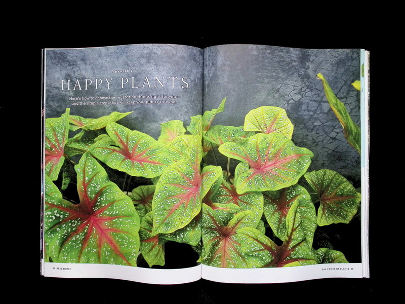 REAL SIMPLE / The Power of Plants [65] 2026 - Part 4