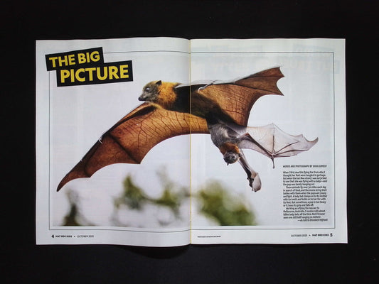 NATIONAL GEOGRAPHIC KIDS Oct 2025
