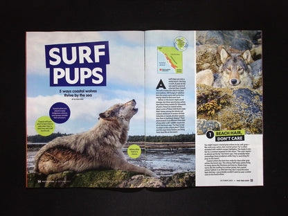 NATIONAL GEOGRAPHIC KIDS Oct 2025